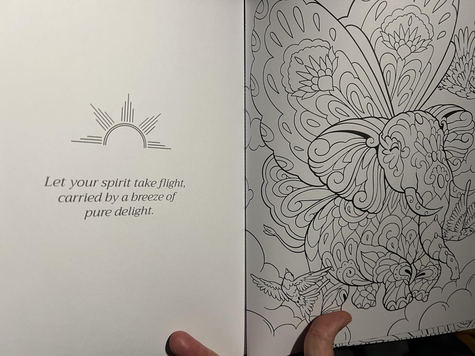 Coloring Books for Adults Relaxation, Set of 3 for Women, Stress Relief | Adult Coloring Book Set of 3 for Women, 63 Mindfulness & Self-Care Designs with Inspiring Quotes, Spiral Stress Relief Gift customer photo 1