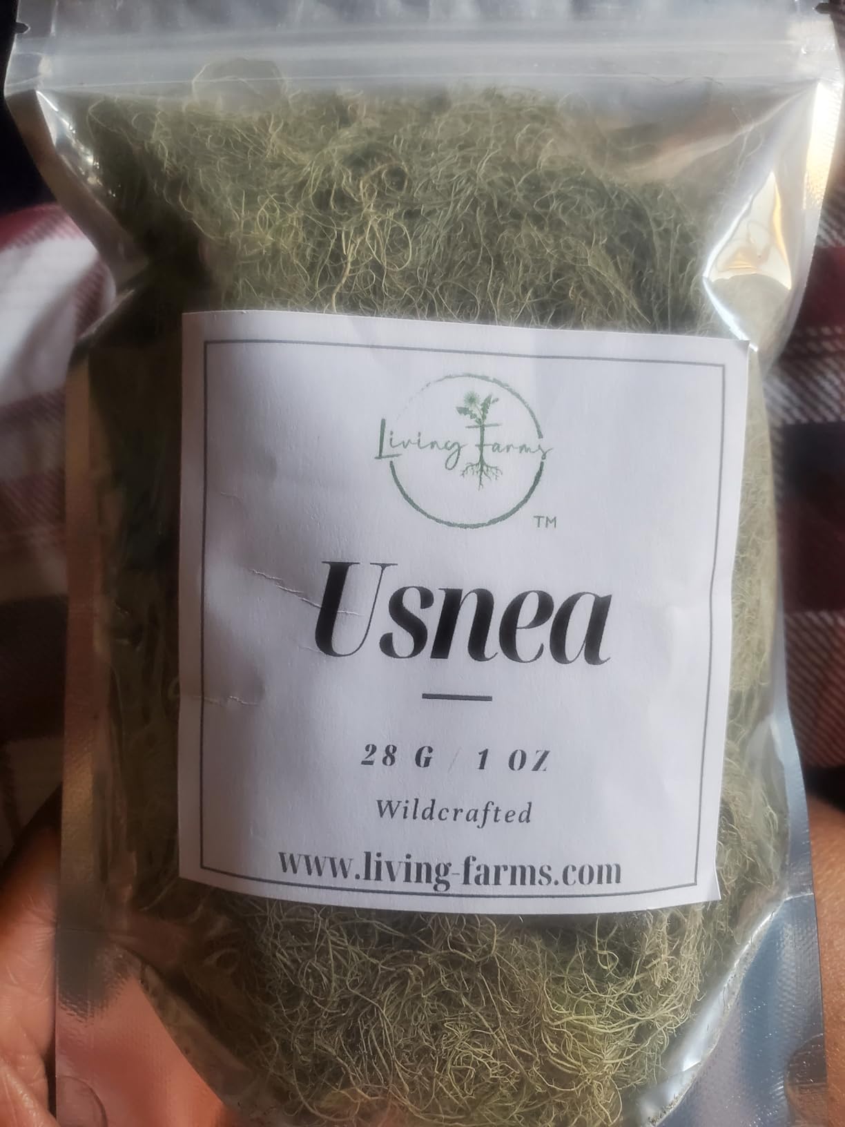 Usnea Lichen Whole Dried Herb 1 oz Wild Harvested Old Man's Beard customer photo 1