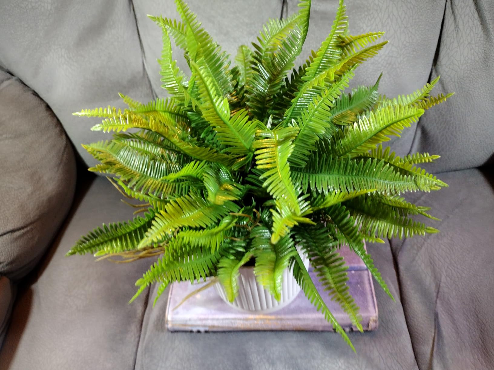 Coferset Realistic Small Fake Fern Plant with White Plastic Pot,Green | 10