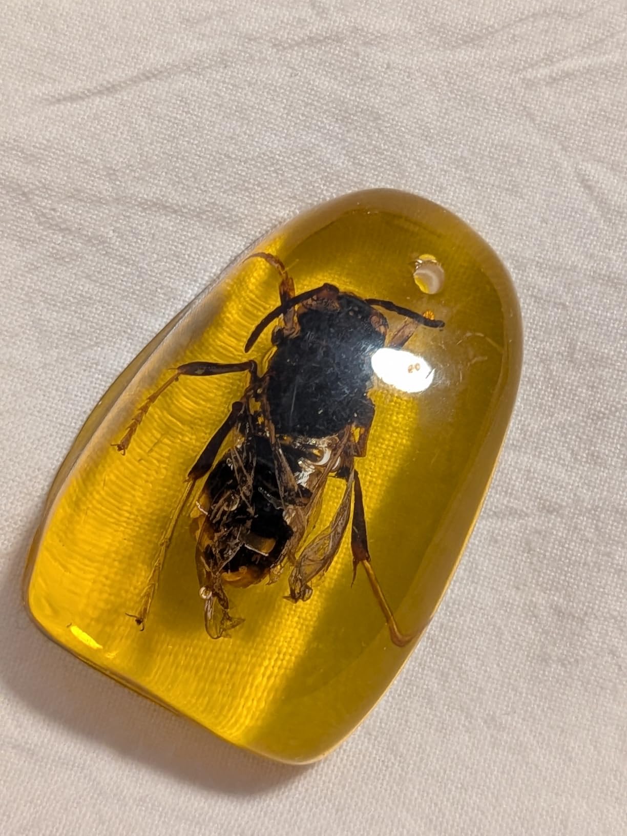 8 pcs Insect Amber Fossils, BOSOIRSOU Amber Fossil Pendants, Different Insect Specimen, Bug Preserved in Resin, Kids Educational Toy and Scientific Amber Collections - Fixed Patterns customer photo 1