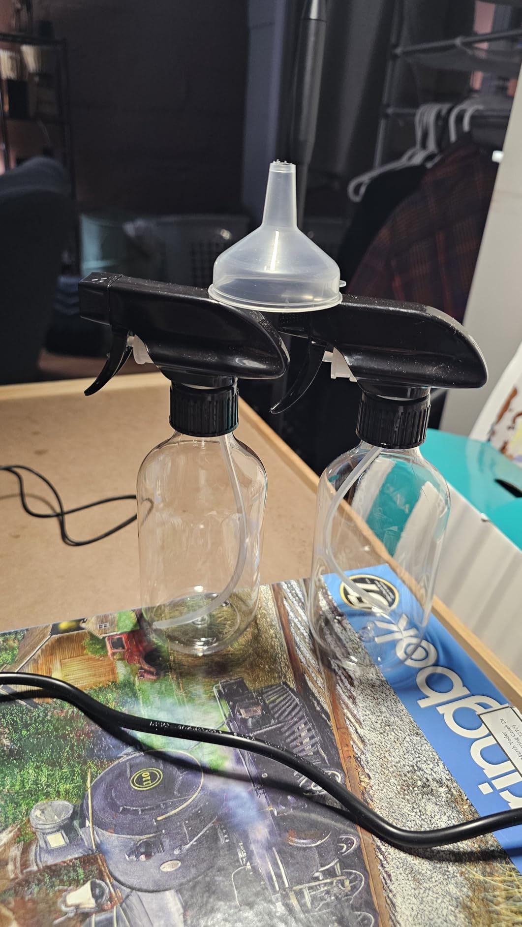 Plastic Spray Bottles for plant - 2Pack/10oz/300ml - Small Spray Bottles customer photo 2