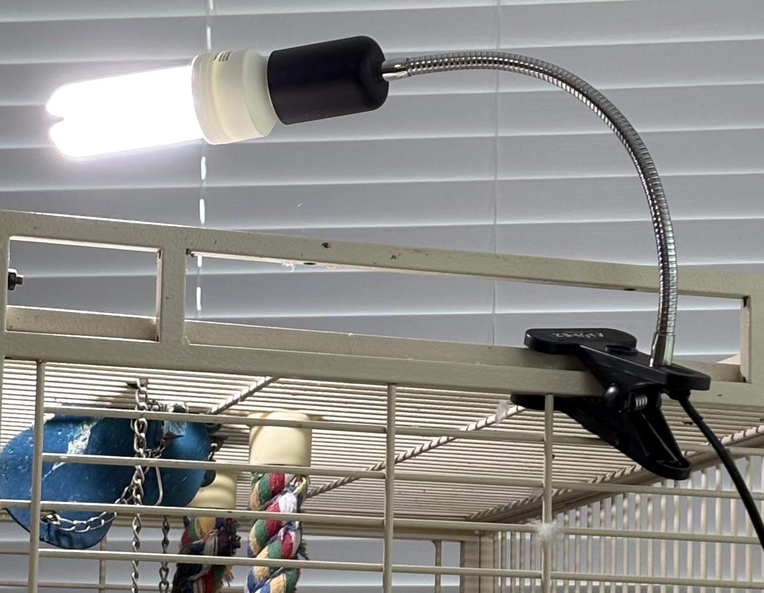 FUNKS TORITOMOSU Bird Cage UVB Light Combo Kit, AvianSun Lamp 2.4% UVB UVA 20W Compact Fluorescent Bulb for All Kinds Captive Birds customer photo 1