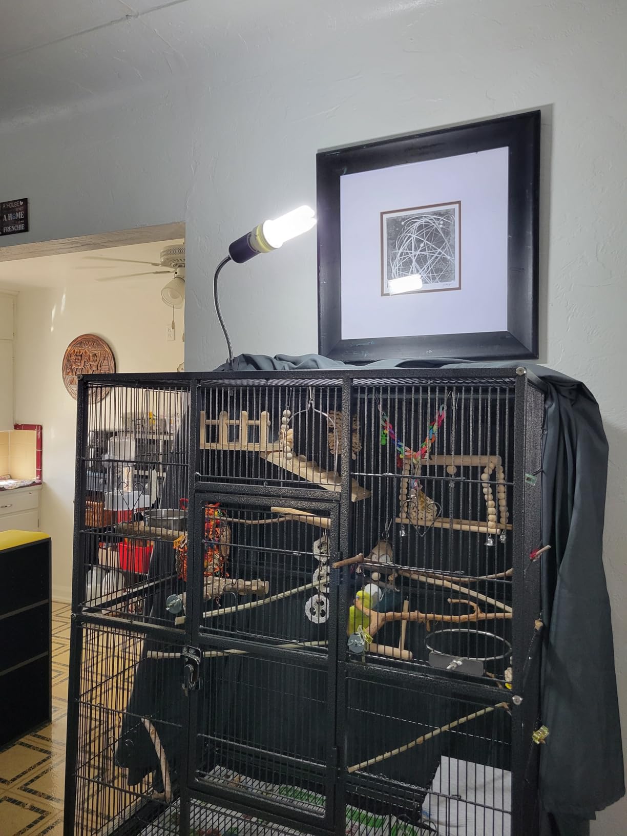 FUNKS TORITOMOSU Bird Cage UVB Light Combo Kit, AvianSun Lamp 2.4% UVB UVA 20W Compact Fluorescent Bulb for All Kinds Captive Birds customer photo 2