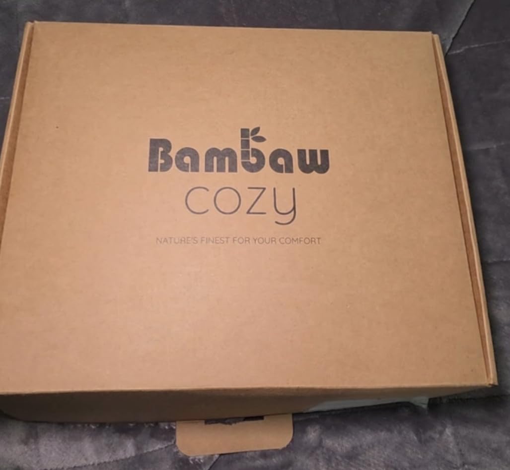 Bambaw Queen Sheet Set – 4pcs 100% Viscose Derived from Bamboo Cooling Sheets Set Queen Size, Cooling Sheet for Night Sweats, Ultra Soft & Breathable, 16'' Deep Pockets (Moonlight Gray) customer photo 1