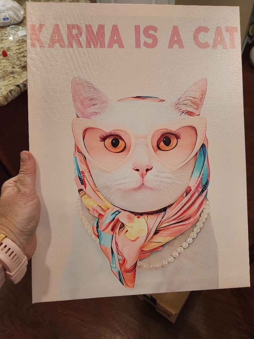 BFKDKG Taylor Poster Wall Art Canvas, Karma Is a Cat Album Prints, Lyrics Poster for Bedroom, Pink Room Wall Decor, Music Art Wall Decor for Girls Fans 12x16in customer photo 2