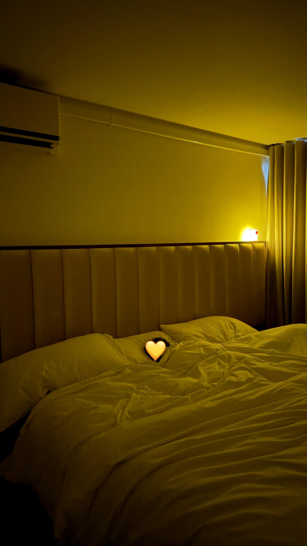 YR YRHH-PET Axolotl Lamp, Kid Squishy Night Light, Cute Gifts for Teen Girl customer photo 1