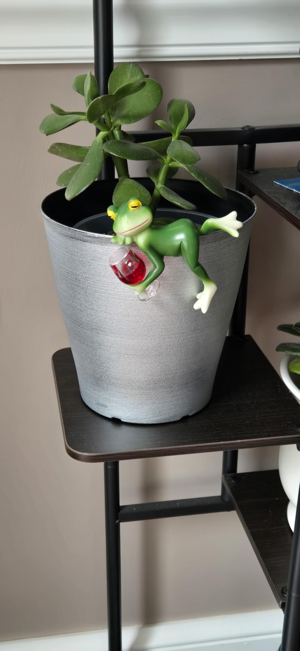 Miniature Frog Figurines Plant Decorations for Pots, Funny Frog Garden Decor Outdoor Gifts Women Frog Statue Planter Hugger for Flower,Yard,Lawn Ornament,3.94
