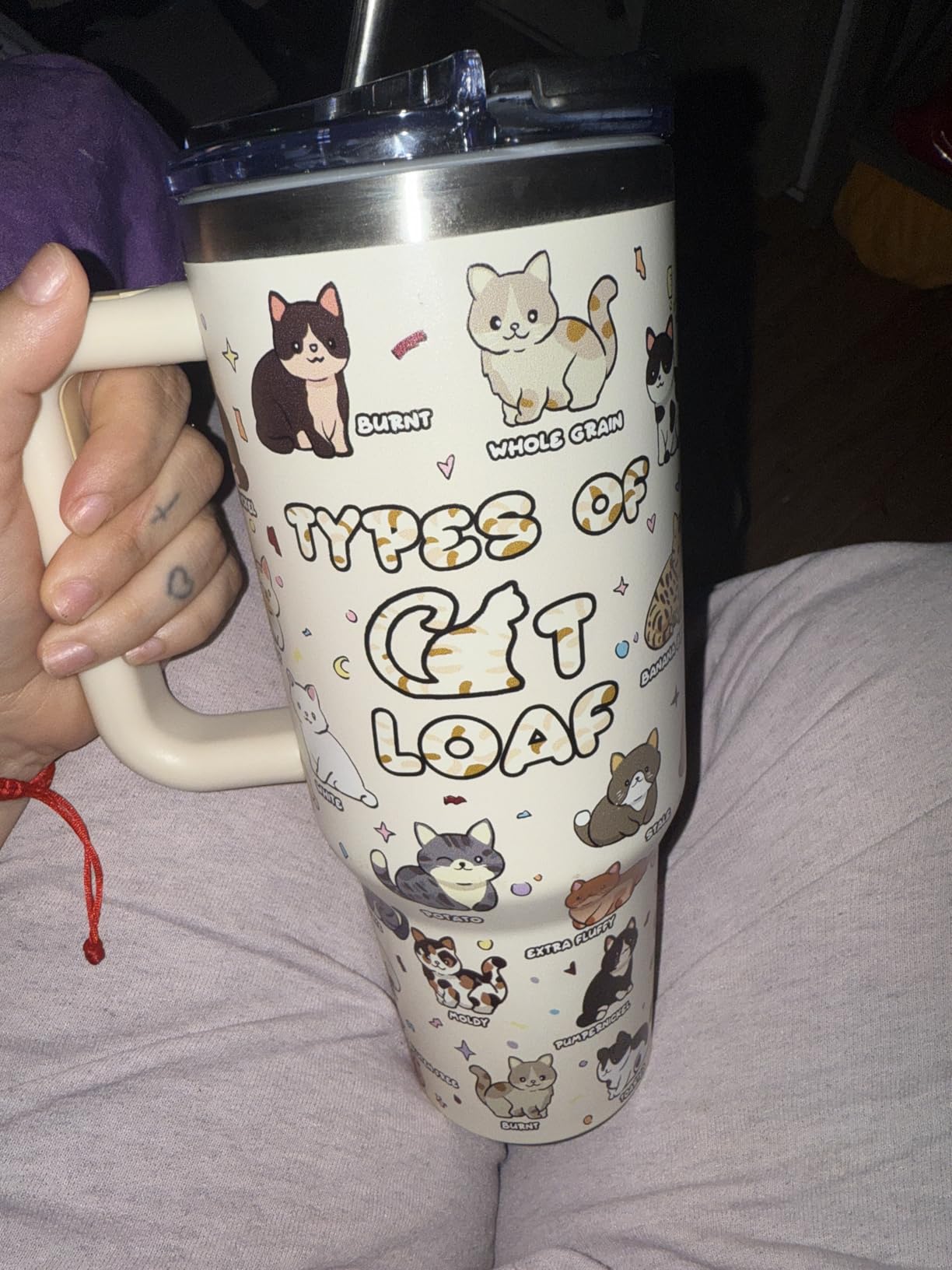 Bird Watching Gifts, 40oz Bird Tumbler with Lid and Straw, Bird Gifts for Bird Lovers Women Men, Bird Themed Gifts for Nature Lovers Mug, Backyard Birds of North America Birthday Christmas Gifts customer photo 1
