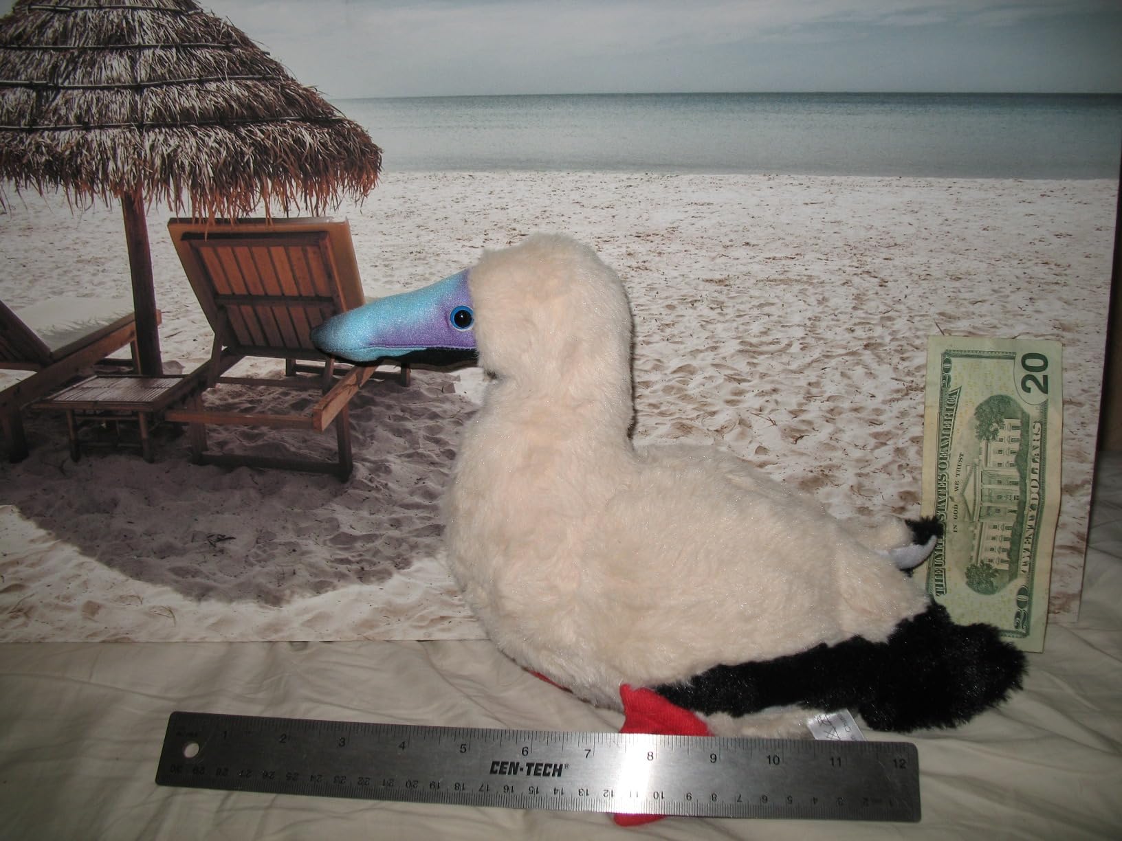 Blue Footed Booby Plush Plush Toy, Blue Footed Booby Stuffed Animal,Bird Collection,Birthday Gifts for Kids customer photo 1