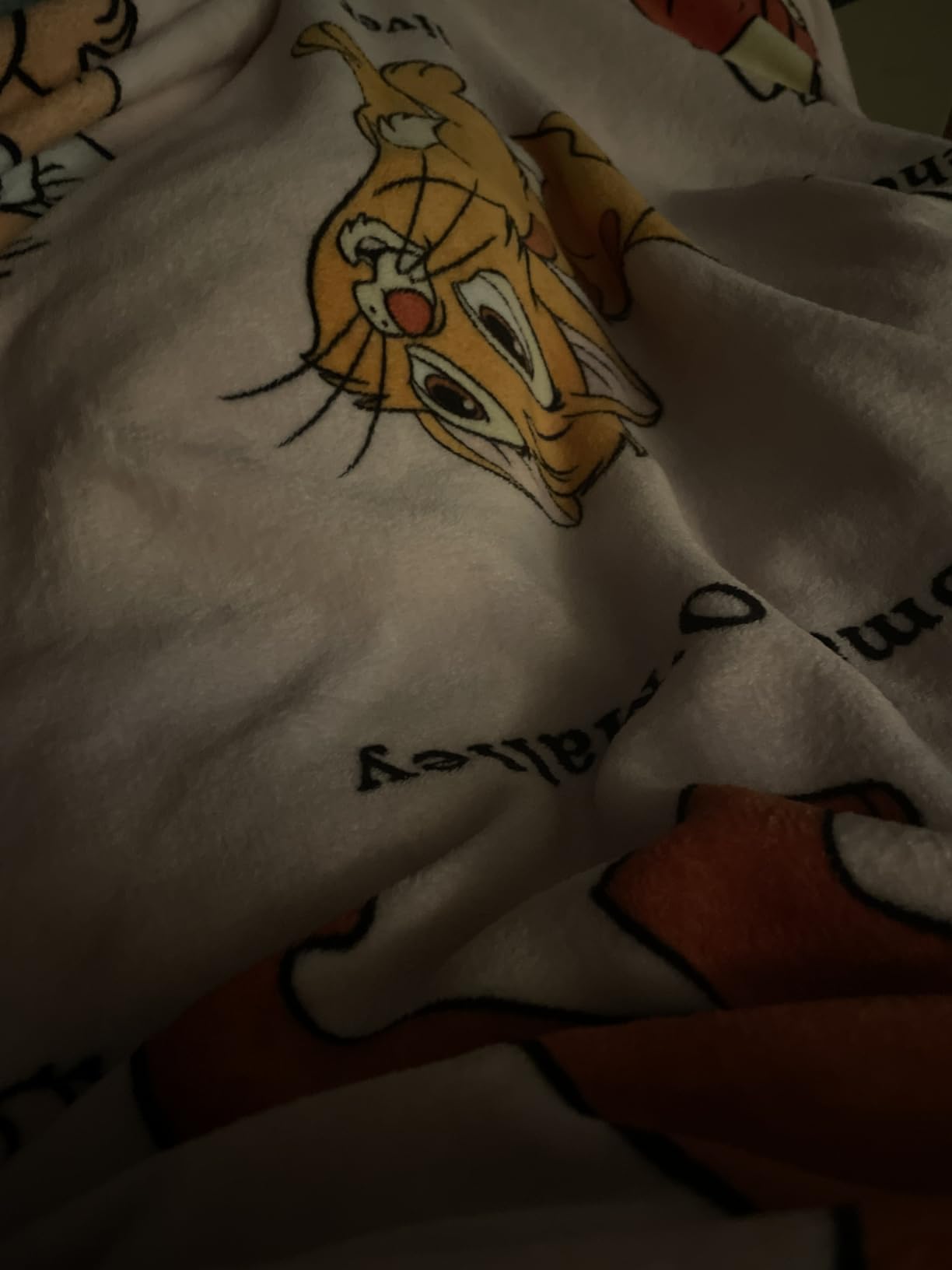 Jay Franco Disney Lion King Plush Throw Blanket - Measures 40 x 50 Inches - Super Soft Lightweight Fleece Safari Animals Bedding with Simba customer photo 1