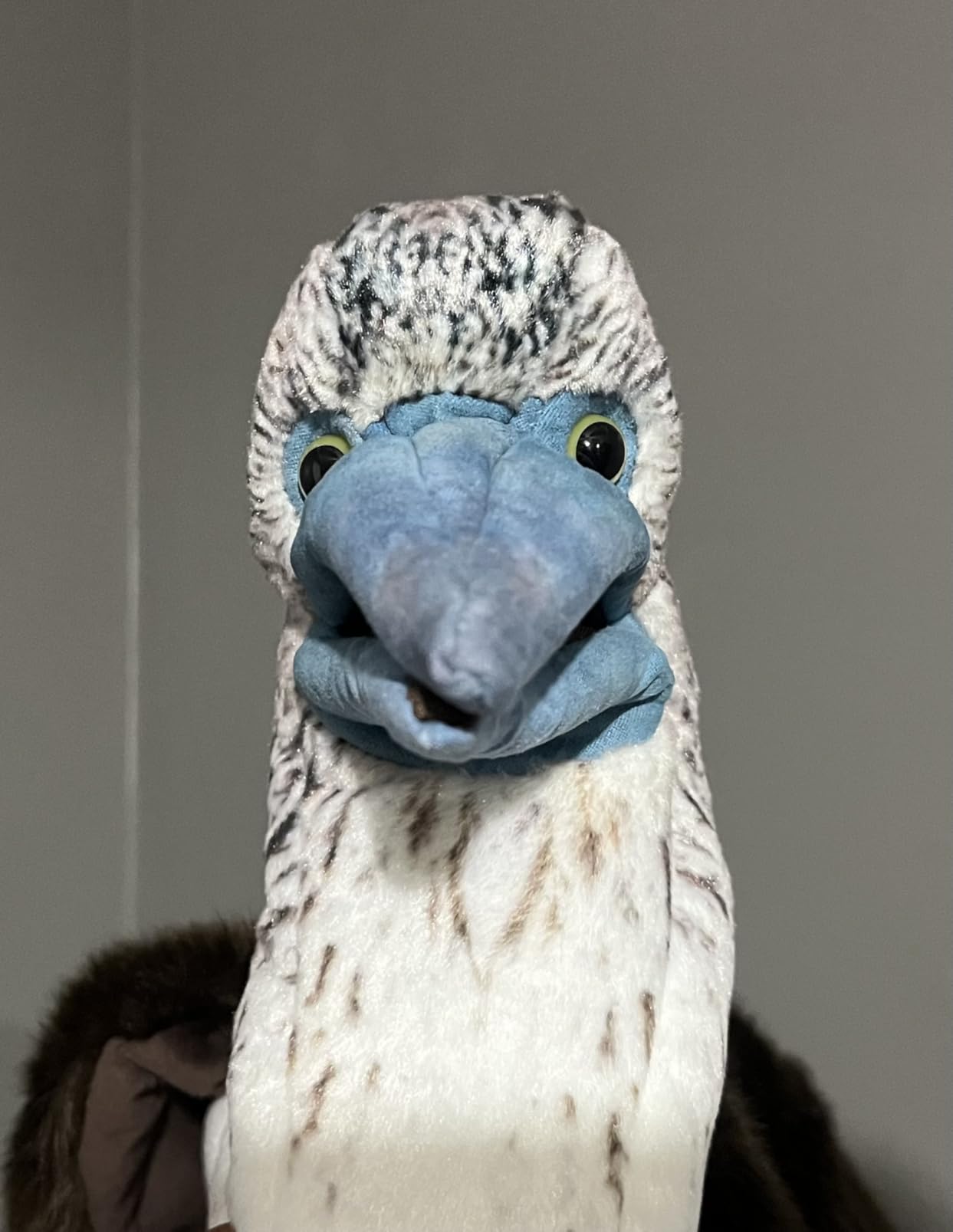 Folkmanis Blue-Footed Booby Hand Puppet customer photo 1