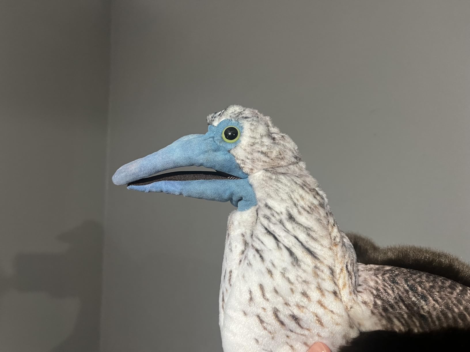 Folkmanis Blue-Footed Booby Hand Puppet customer photo 2