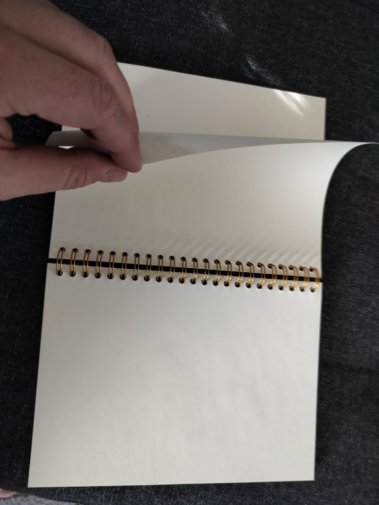 Nice Story Now Show Me The Data Black Golden Spiral Blank Notebook, Funny Saying Sarcastic Gifts for Data Analyst Data Scientist, Birthday Thank You Gifts for Colleague Coding Geek Programmer customer photo 2