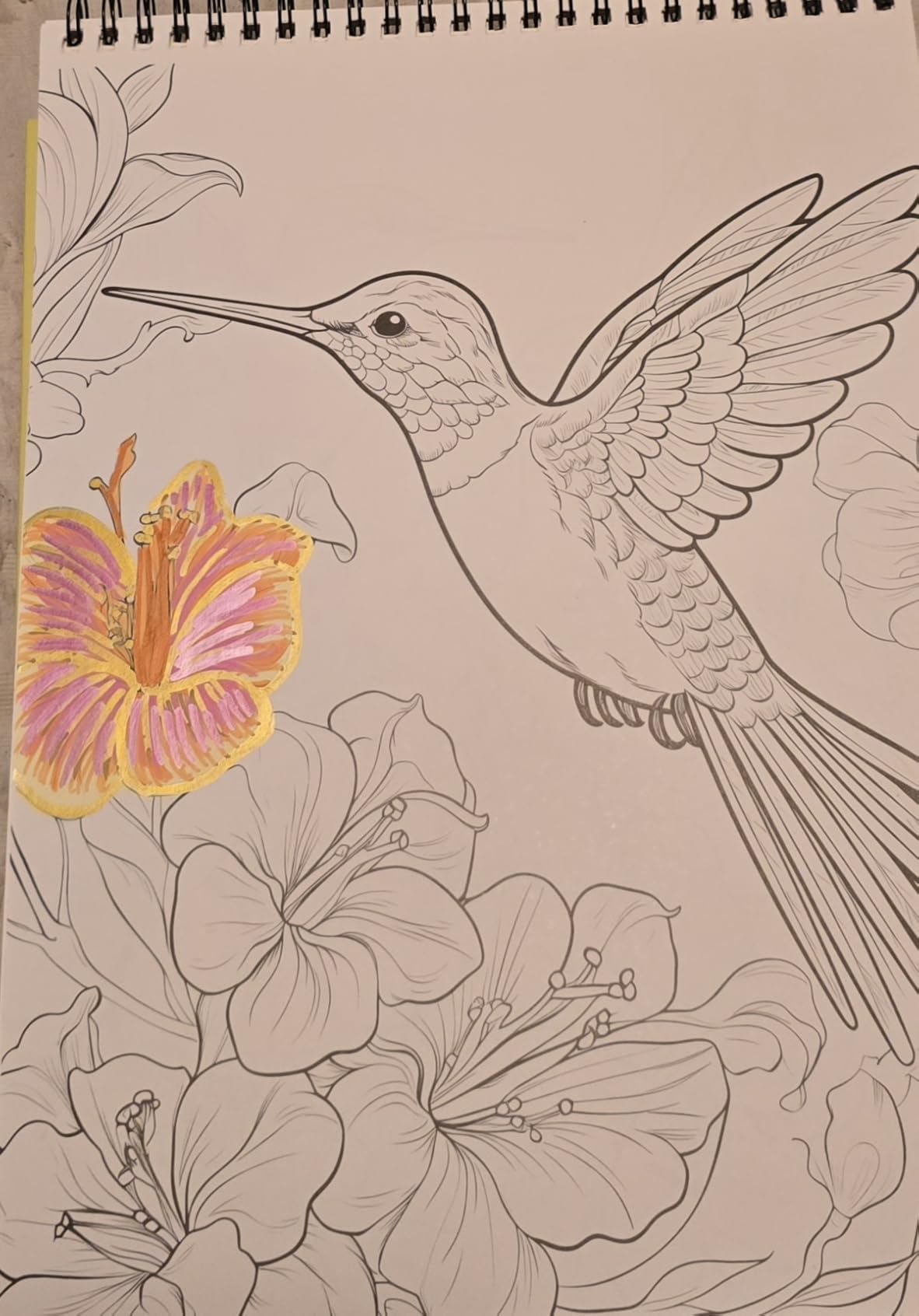 3Pcs Adult Coloring Book for Women Relaxation with 36 Dual Tip Color Marker | 36 Colors Markers with Spiral Bound Coloring Books for Adult, Anxiety Relief Mindfulness Gifts (Ocean & Bird & Butterfly) customer photo 2