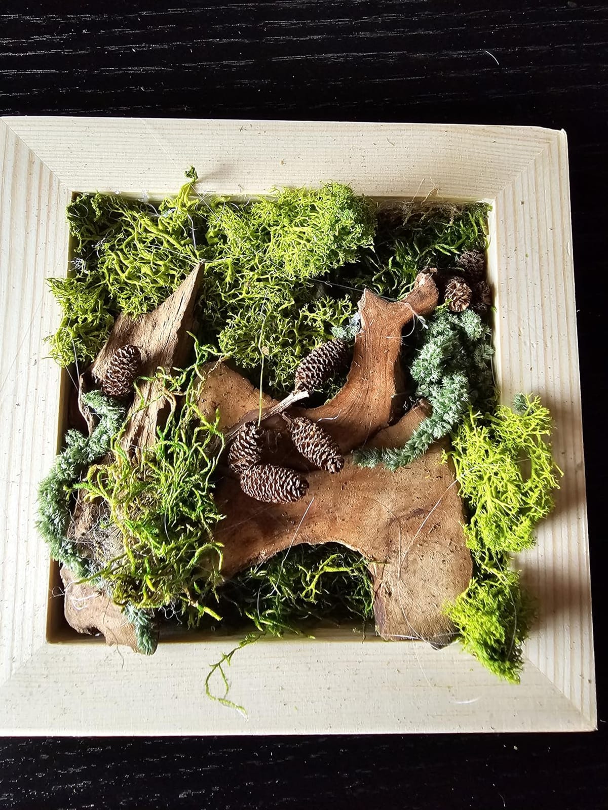 Evergreen Oasis DIY Moss Wall Art Kit, 8