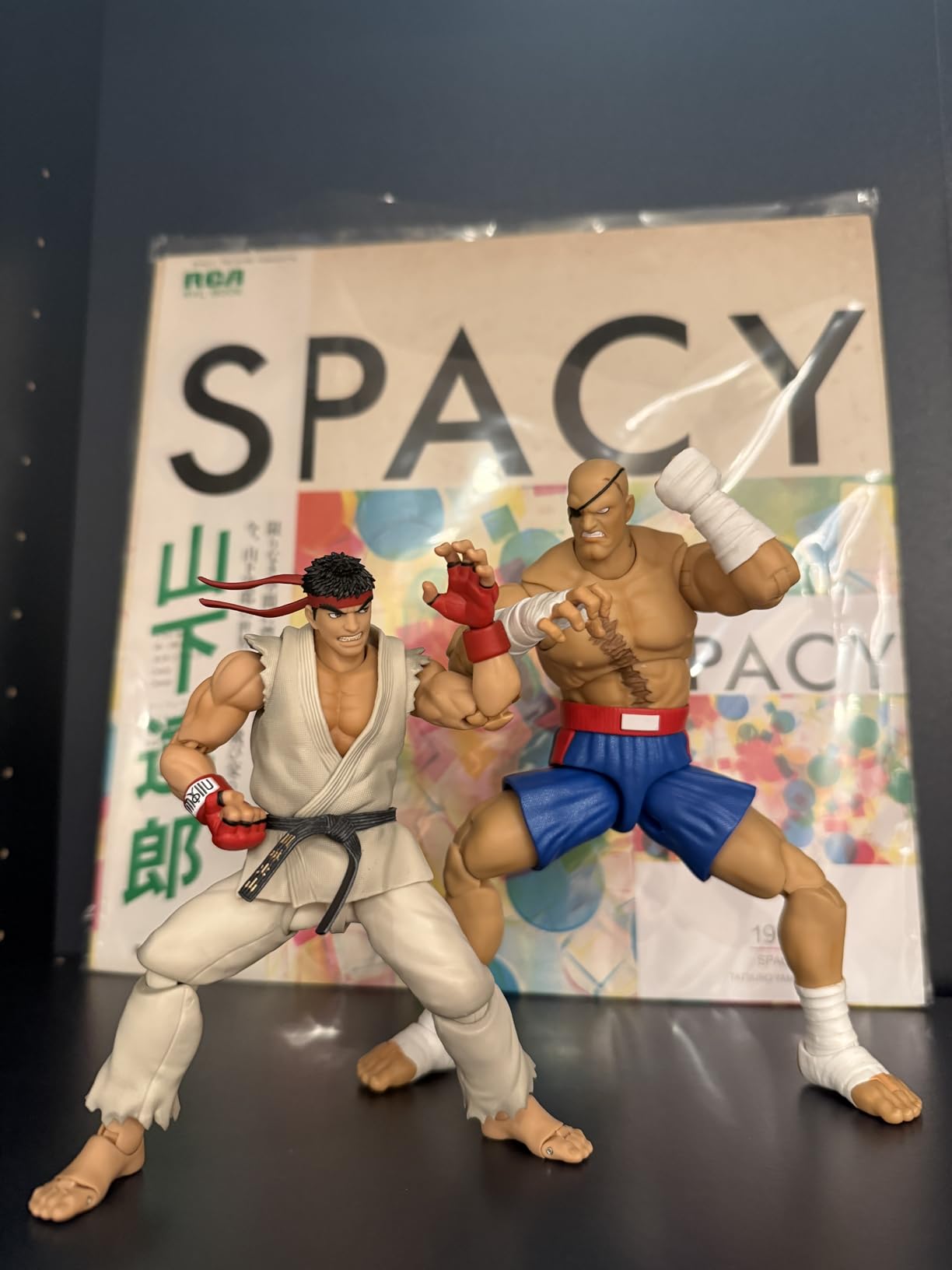 Jada Street Fighter II Sagat Deluxe 1:12 Scale Action Figure - Highly Articulated, Tiger Shot Accessory & Stand, 7.6