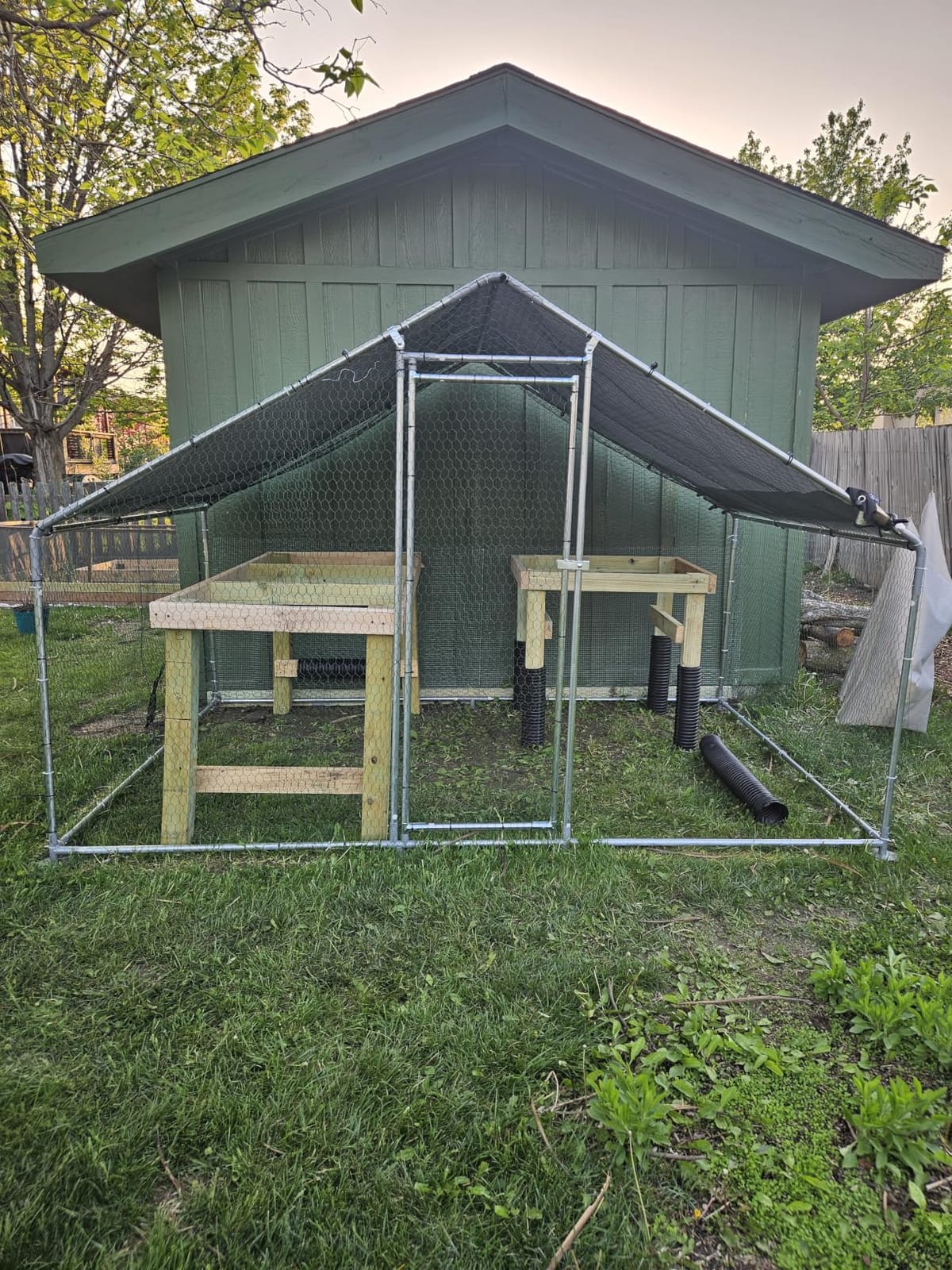 VEVOR Metal Chicken Coop, 6.56x6.56x6.56ft Large Walk-in Chicken Run with Cover, Spire Roof Hen House Enclosure with Security Lock, Outdoor Duck Rabbit Cage, Poultry Pen for Backyard, Farm, Yard customer photo 2