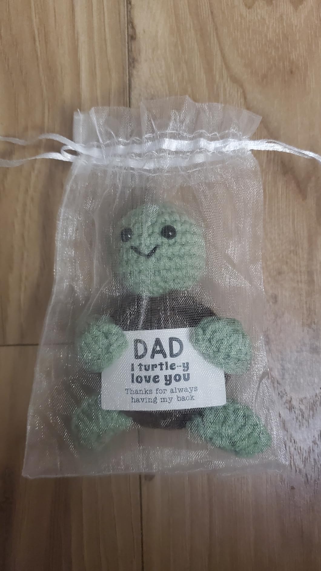 4THFARMES Mini Funny Turtle Graduation Gifts for Her Him College High Middle Elementary School Preschool Kindergarten Graduation Gifts, 2026 Graduates Handmade Emotional Positive Crochet Turtle customer photo 1