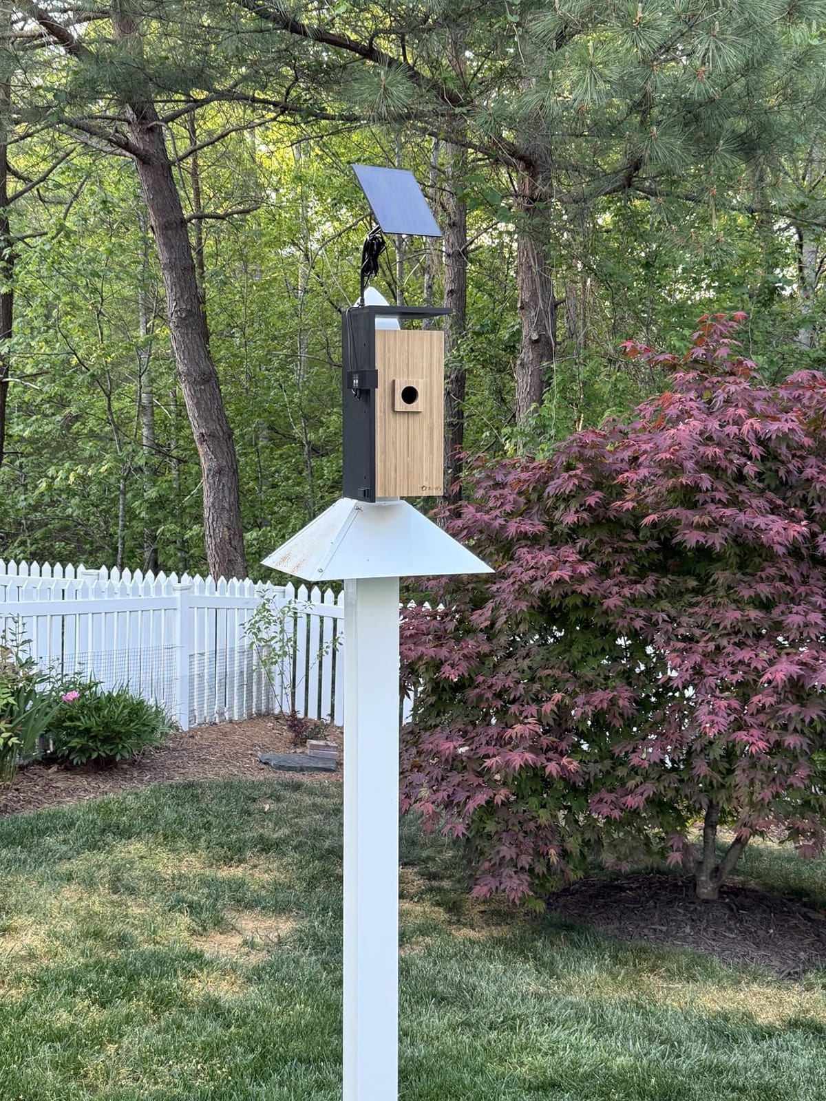 Birdfy Smart Bird House with Dual 1080P Cameras, Lifetime Free AI Bird ID customer photo 1
