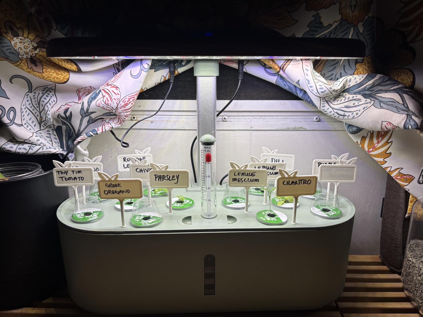 Hydroponics Growing System Indoor Garden: 12 Pods Hydroponic Planter customer photo 1