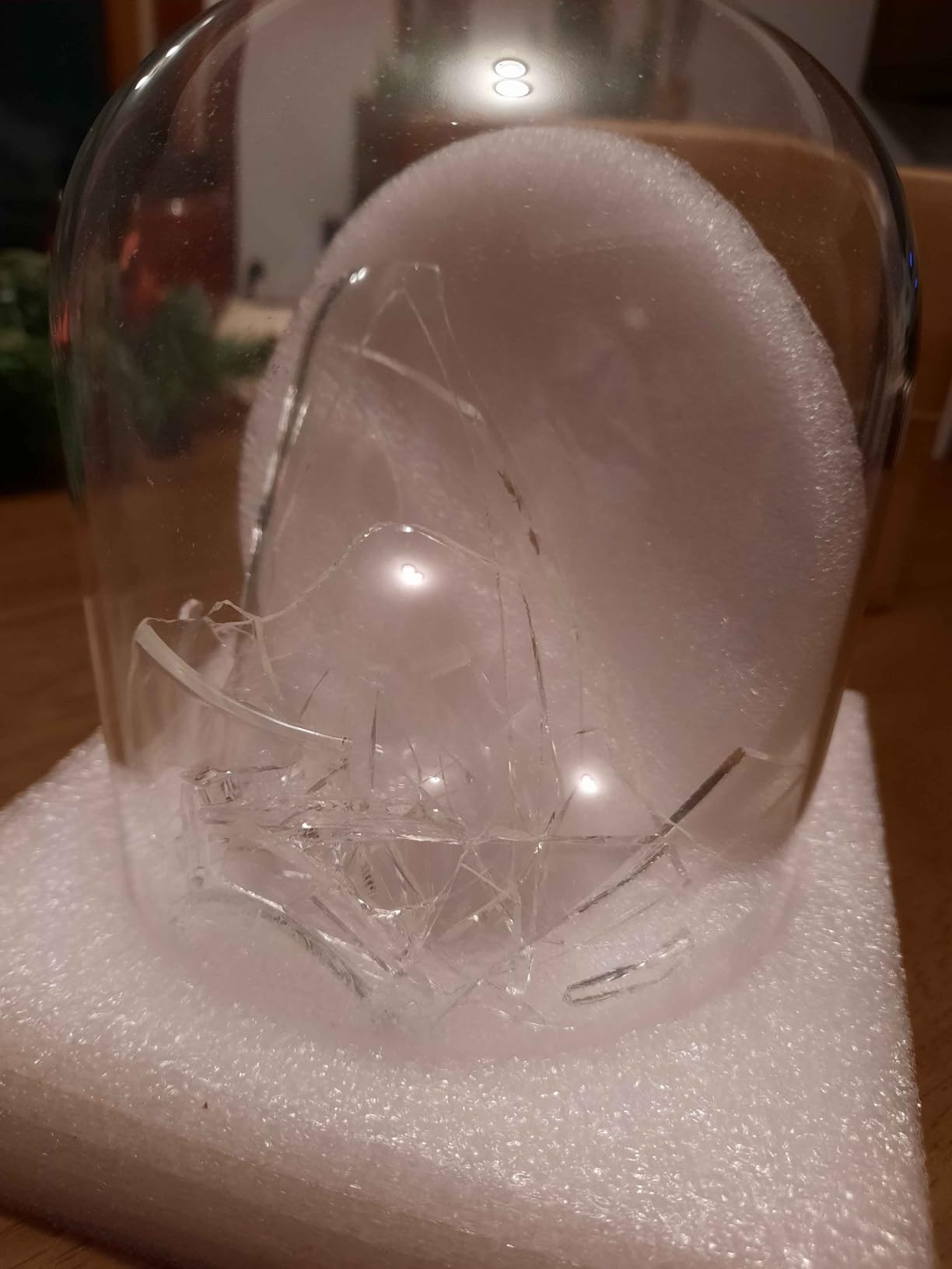 Round Glass Dome with Base, 6