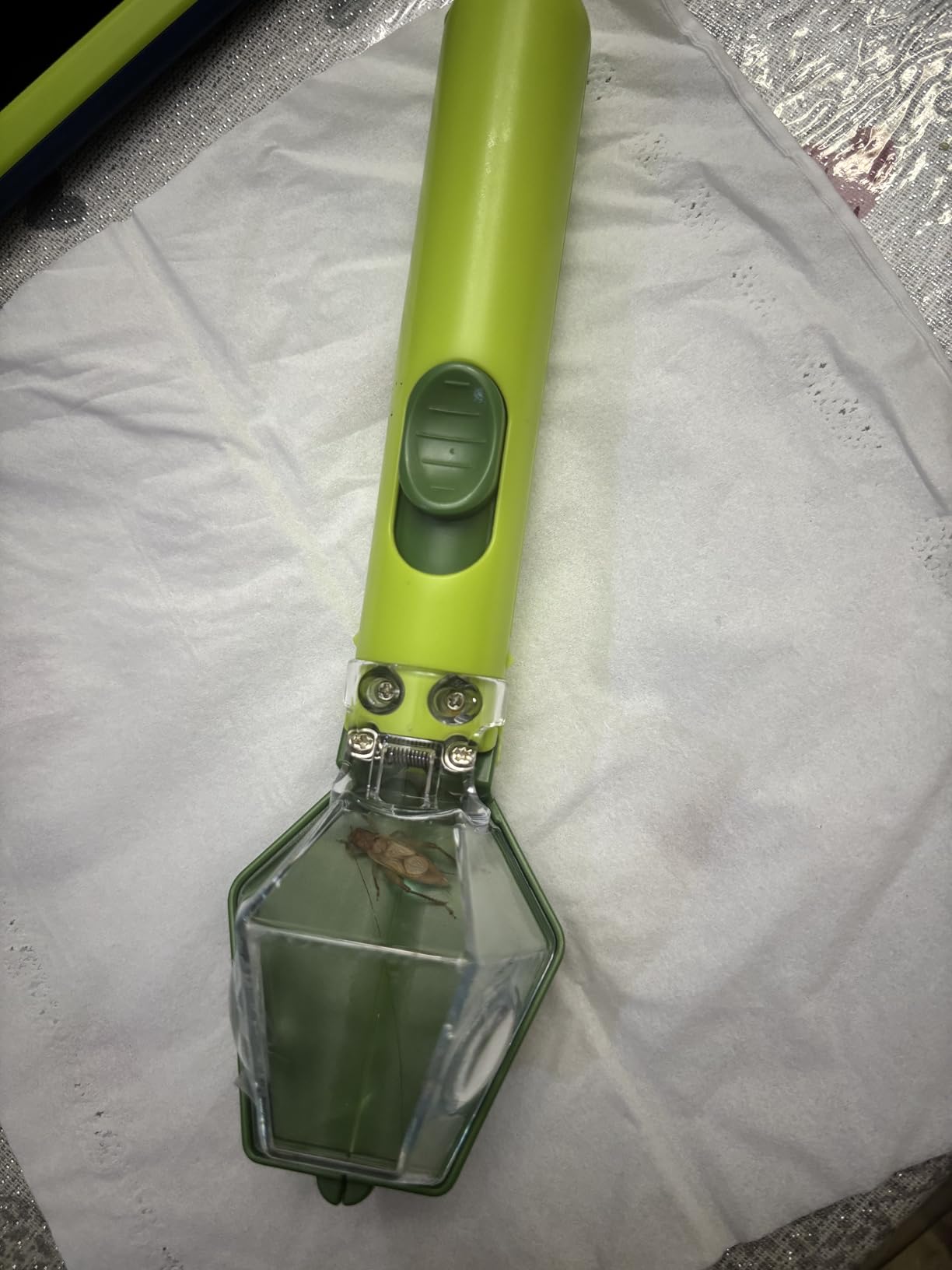 Bug Catcher for Kids, Insect Trap Kit with 6X Magnifier Glass - STEM Educational Exploration Tool for Indoor and Outdoor,Christmas Birthday Gifts Toys for Adults, Boys, and Girls, Green customer photo 2