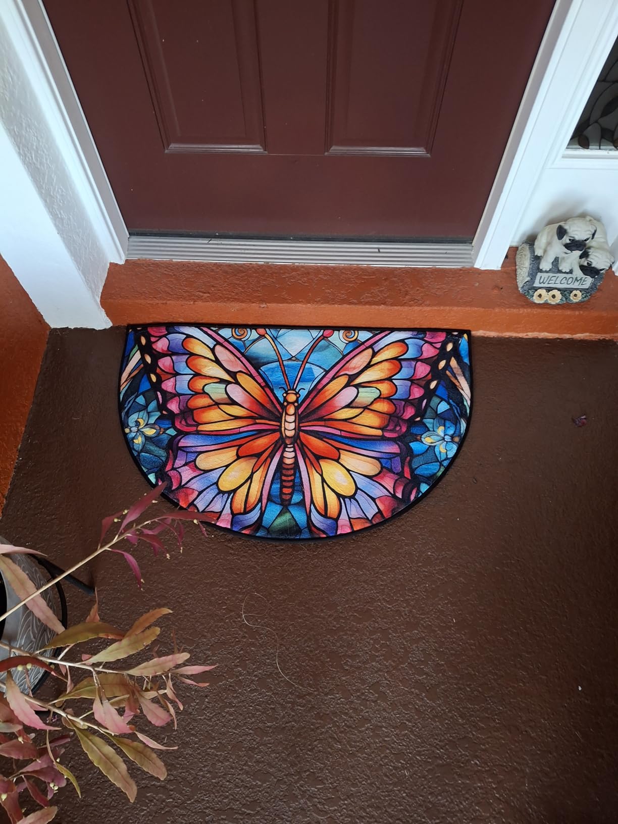 Dragonfly Half Round Doormat Non Slip Semi Circle Rug Outdoor Welcome Mat customer photo 2