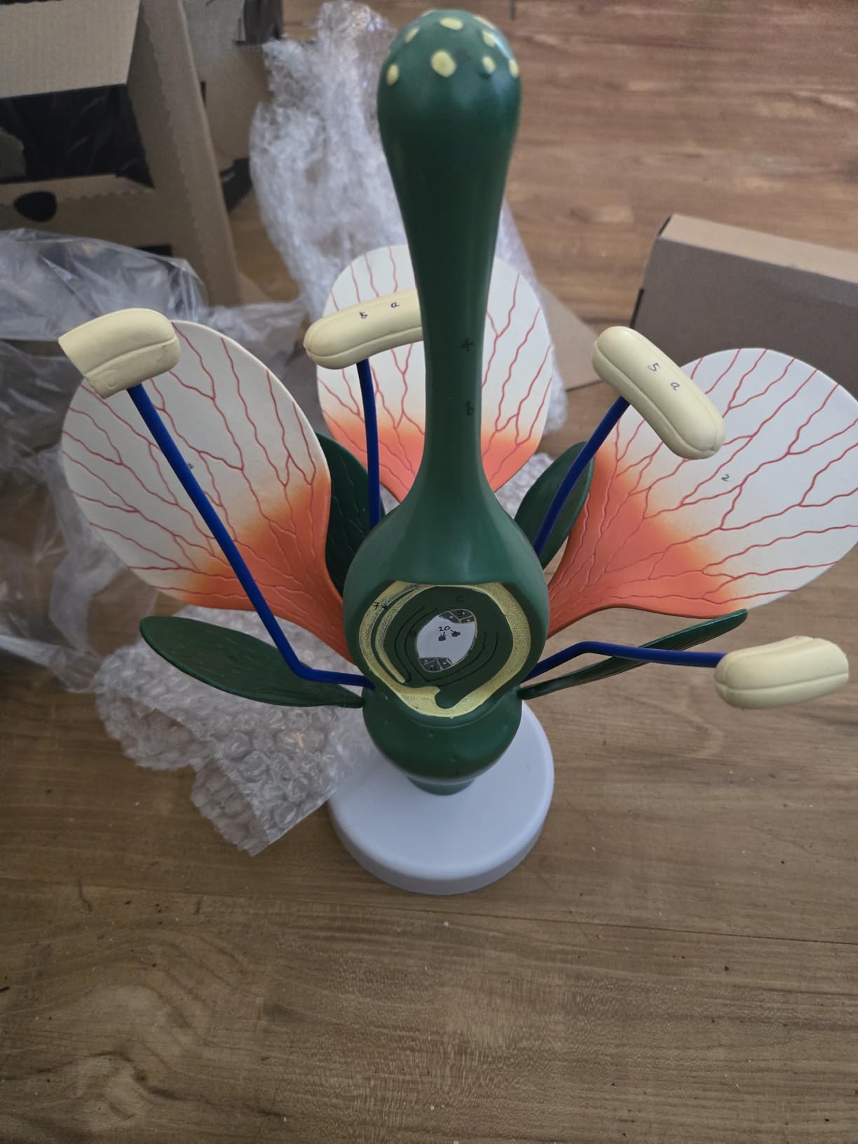 JNMFTD Dicot Flower Model,8X Enlarged Plant Anatomy Model Disassembled Peach Flower Buds Petals Leaves With Product Manual Card PVC Base for Lab Classroom Learning Study Educational Tool customer photo 2