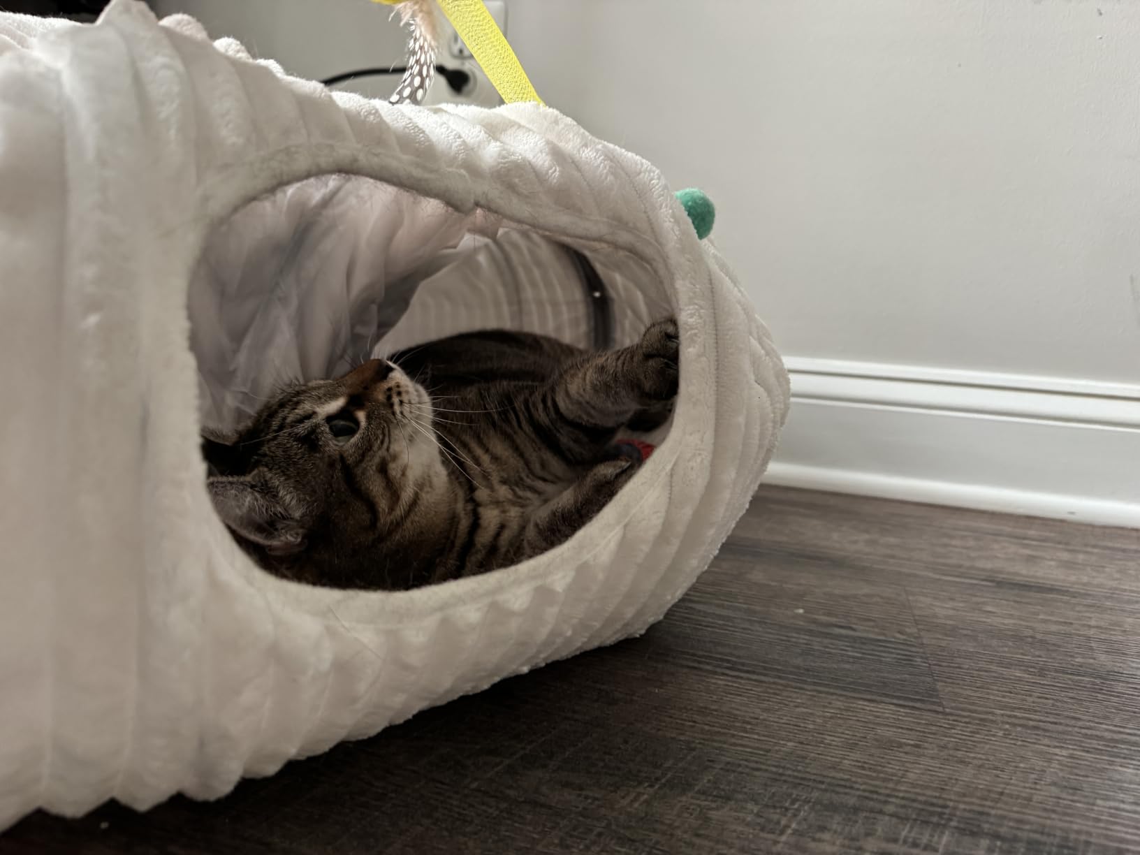 Cat Tunnel Bed with 40 Pcs Interactive Cat Toys, White | Cat Tube with Kitten Toys for Indoor Kittens, Collapsible Play Tunnel, Cat Gifts customer photo 1