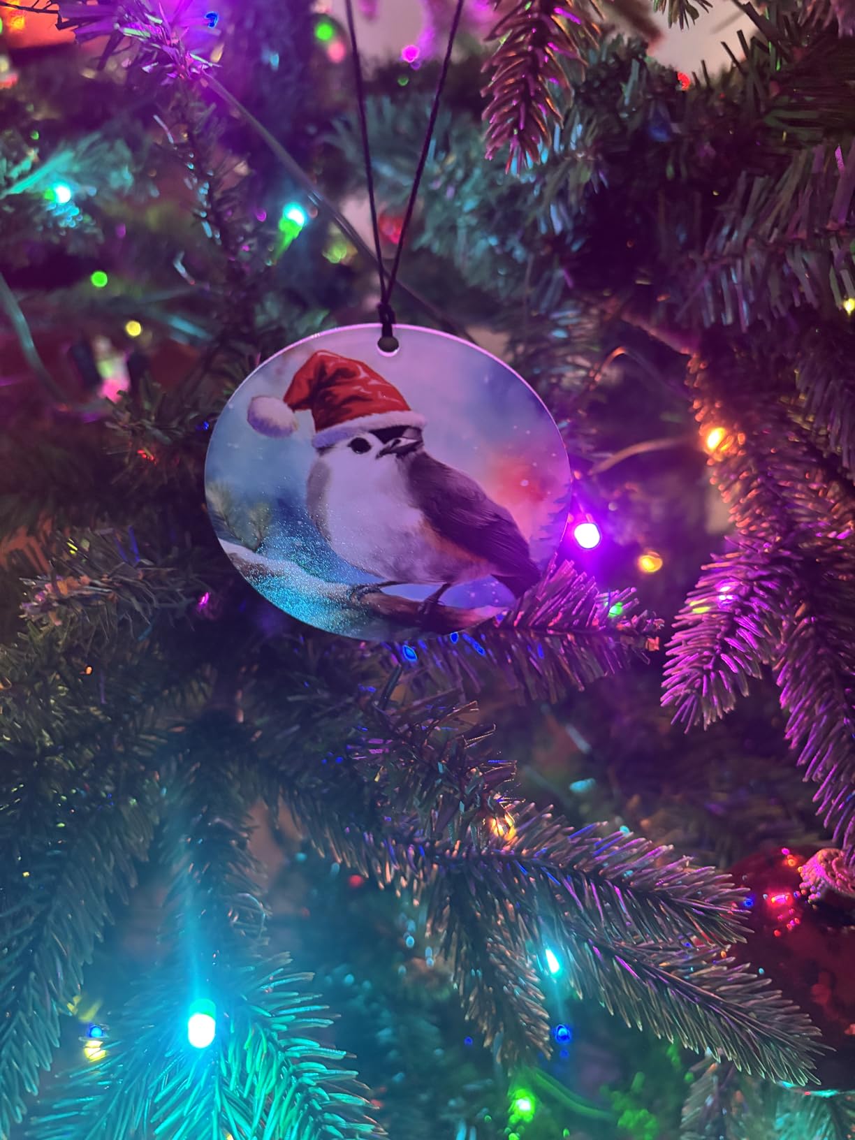 Tufted Titmouse Christmas Ornament - Santa Hat, Northern Lights, Bird Decor customer photo 1
