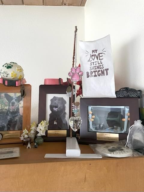 Dog Memorial Gifts for Loss of Dog, Pet Sympathy, Dog Memorial Suncatcher | Thoughtful Dogs and Cats Bereavement Remembrance Gifts, Natural Cat's Eye Paw Crystal Suncatcher customer photo 1