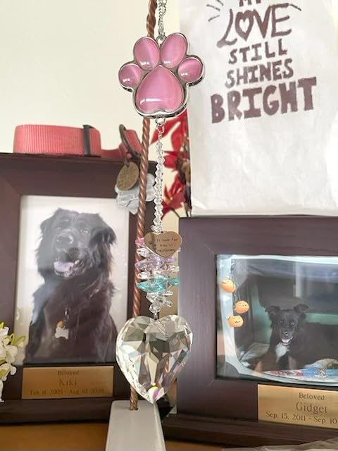 Dog Memorial Gifts for Loss of Dog, Pet Sympathy, Dog Memorial Suncatcher | Thoughtful Dogs and Cats Bereavement Remembrance Gifts, Natural Cat's Eye Paw Crystal Suncatcher customer photo 2