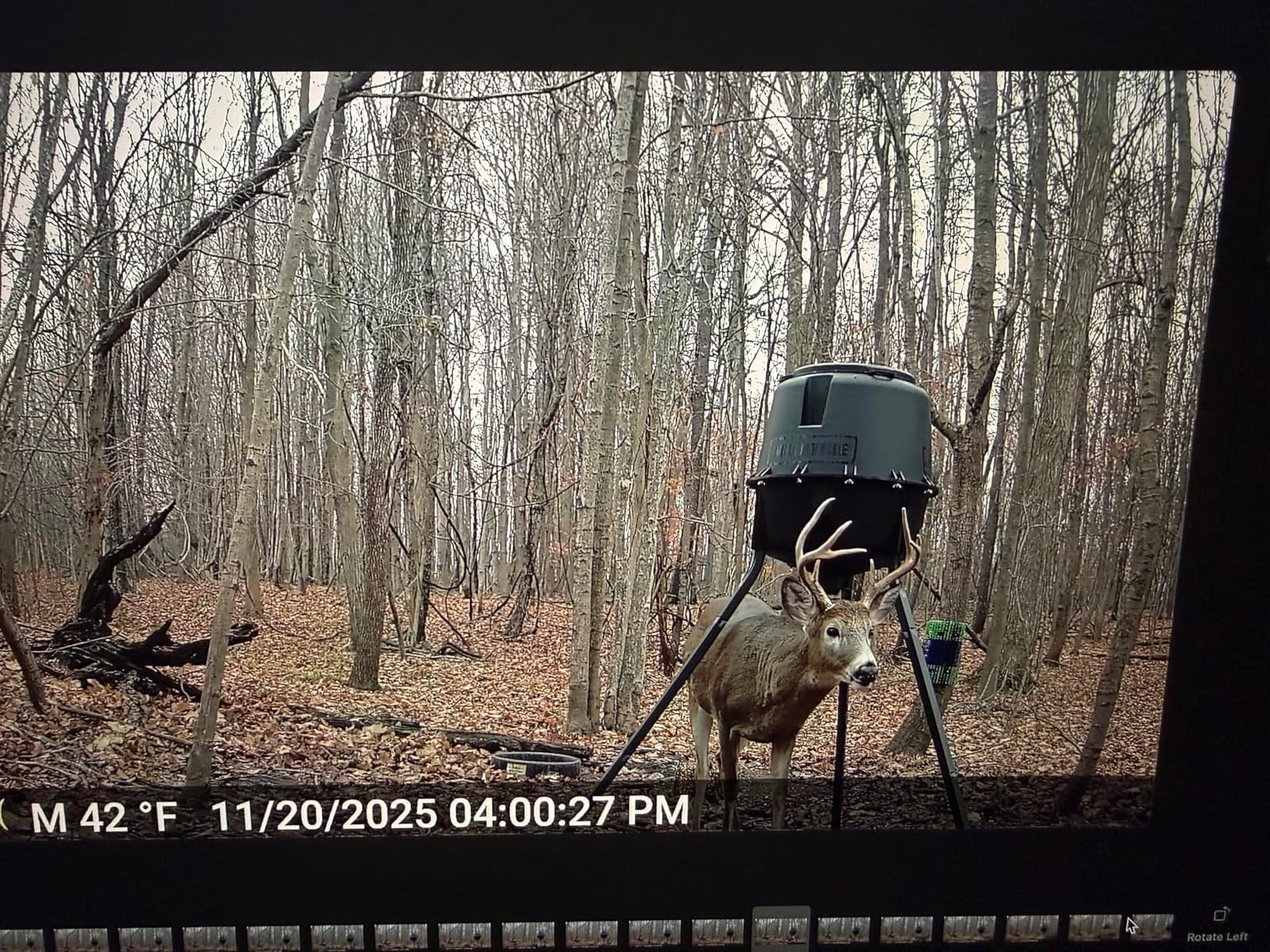 Moultrie 200 Lb Tripod Deer Feeder - Bluetooth App Control customer photo 1