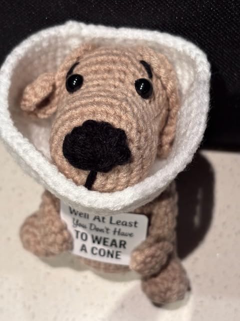 Well At Least You Don't Have to Wear a Cone - Funny and Thoughtful Crochet Dog Gift - 4.5