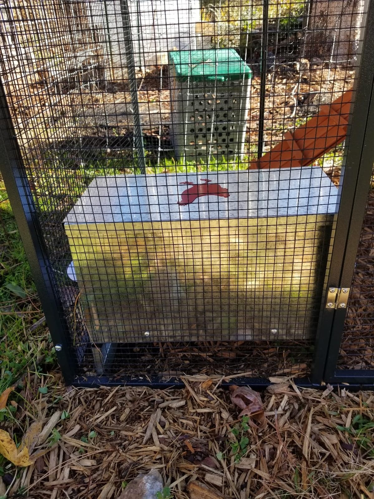 100lb Capacity Automatic Chicken Feeder customer photo 2