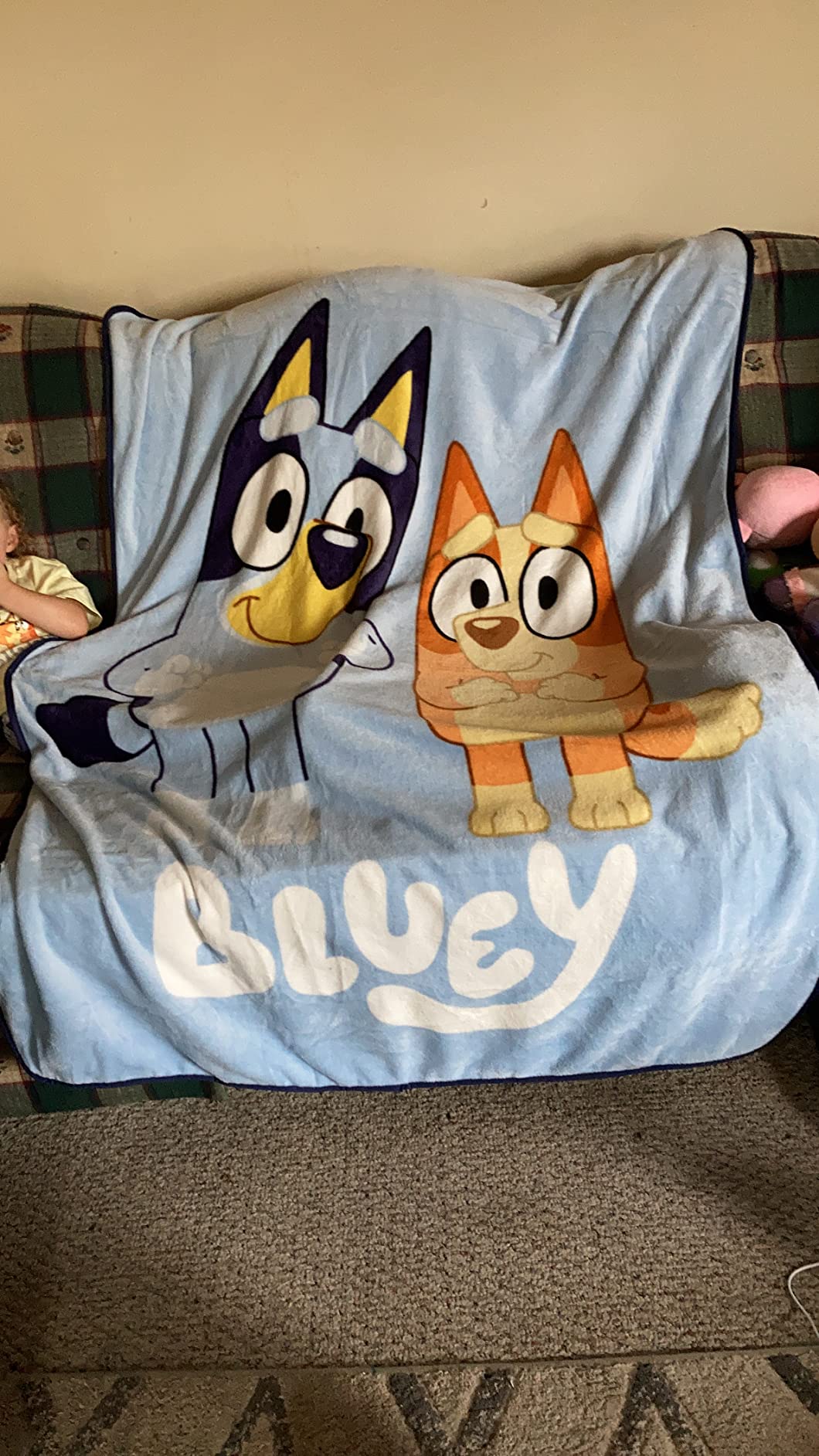 Jay Franco Plush Throw Blanket - 46
