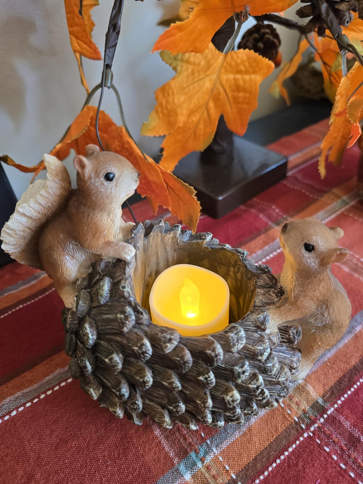 Cute Animals Planter Pot, Resin Squirrel Succulent Plant Flowerpot, Decorative Succulent Plant Planter, Lovely Pinecone Bonsai for Office Desk Room Home Indoor Decor customer photo 1