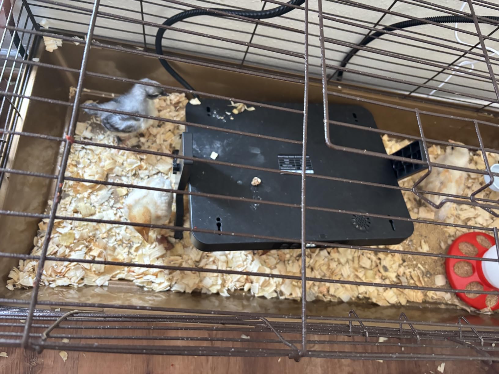 Smart Chicken Coop Heater, 200W Radiant Heat Panel, Adjustable Temp & Timer customer photo 1