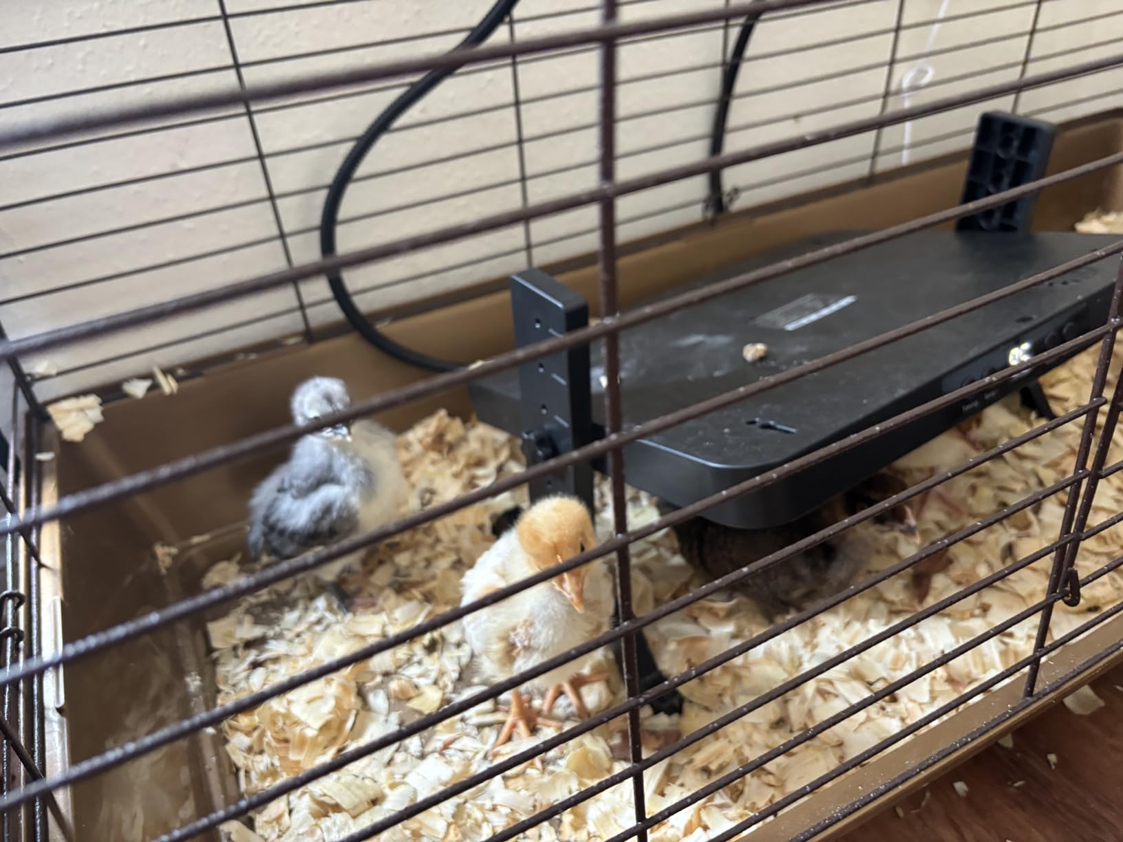 Smart Chicken Coop Heater, 200W Radiant Heat Panel, Adjustable Temp & Timer customer photo 2