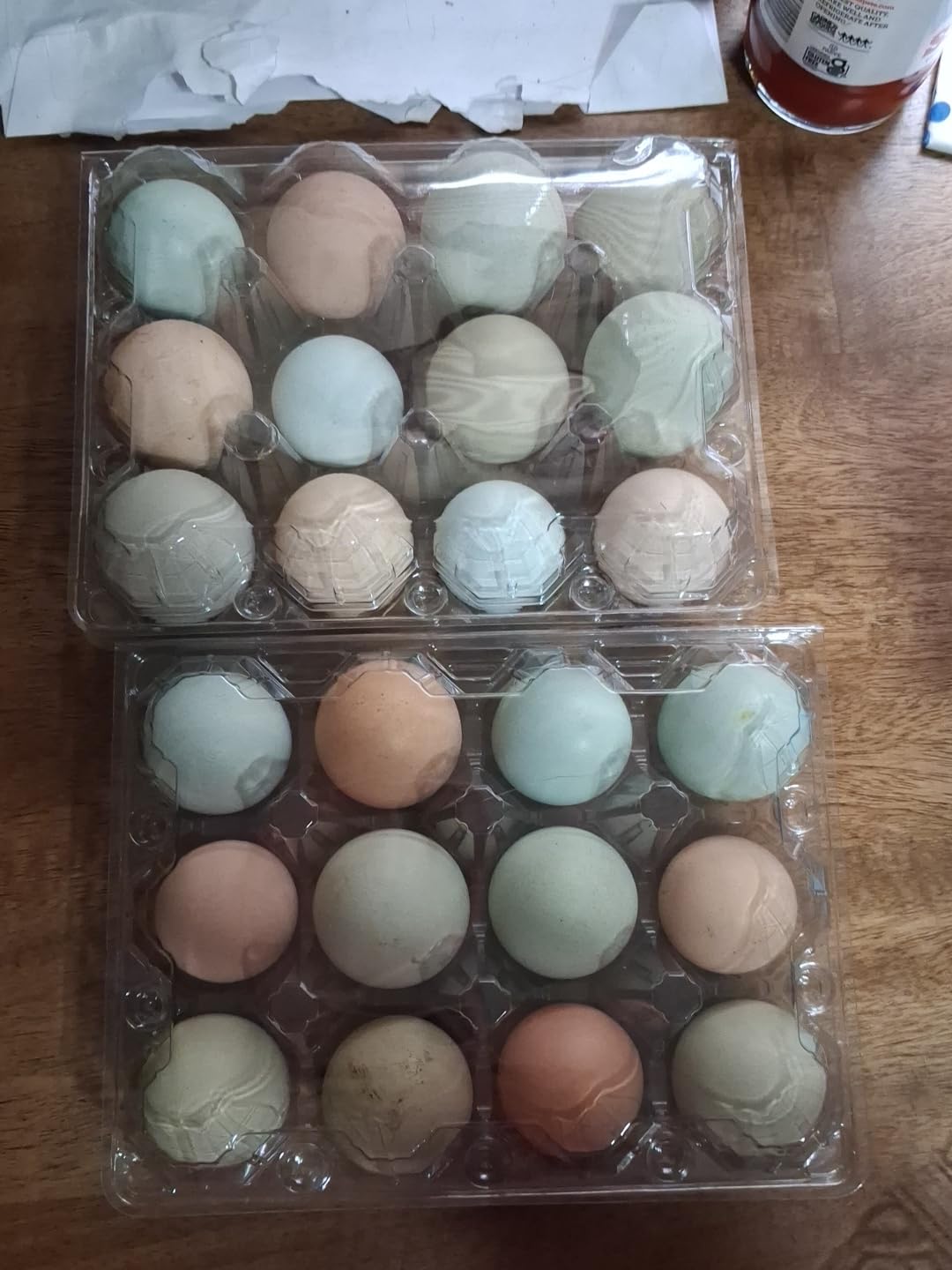 50-Pack of 12-Count Plastic Egg Cartons – Bulk Clear Reusable Egg Containers Holds Chicken Eggs | Egg Cartons Cheap Bulk, Eggs 12 Count,Suitable for farms, markets and families. customer photo 1