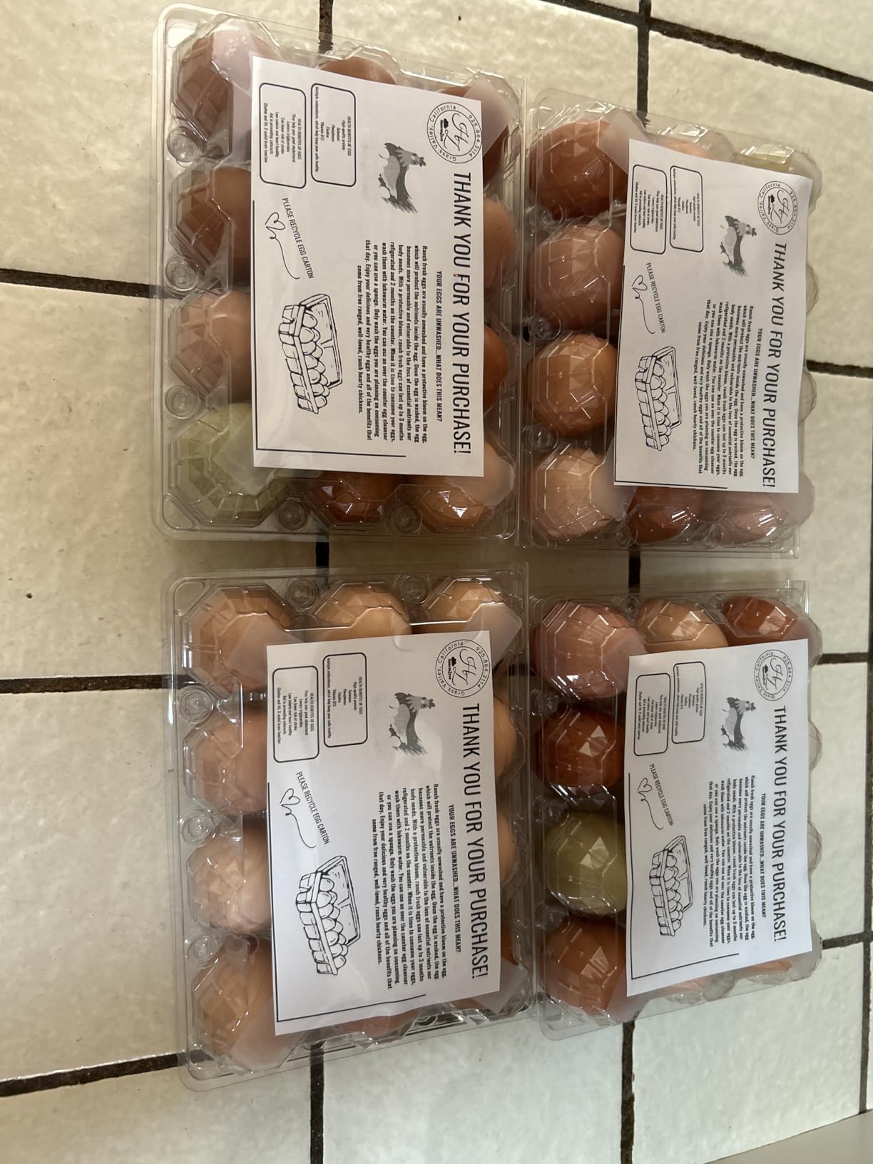 50-Pack of 12-Count Plastic Egg Cartons – Bulk Clear Reusable Egg Containers Holds Chicken Eggs | Egg Cartons Cheap Bulk, Eggs 12 Count,Suitable for farms, markets and families. customer photo 2