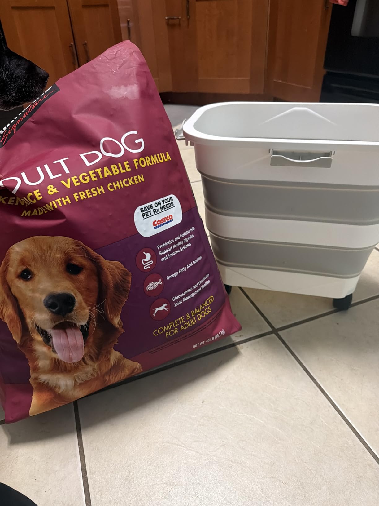 Komzon Rice Storage Container 10-40 lb, 25 lb Pet Dog Food Storage Container, Collapsible Airtight Rice Container,Rice Dispenser Bin with Cup and Scoop for Flour Cereal Pasta Grain, Cat Bird Food customer photo 2
