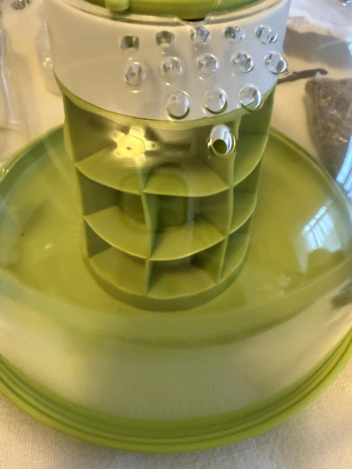 Snail Terrarium Kit Insect Enclosure Bug Terrarium Observation Container Praying Mantis Habitat Breeding Box Micro Habitat Starter Kit for Beetles Spider Small Reptile customer photo 2
