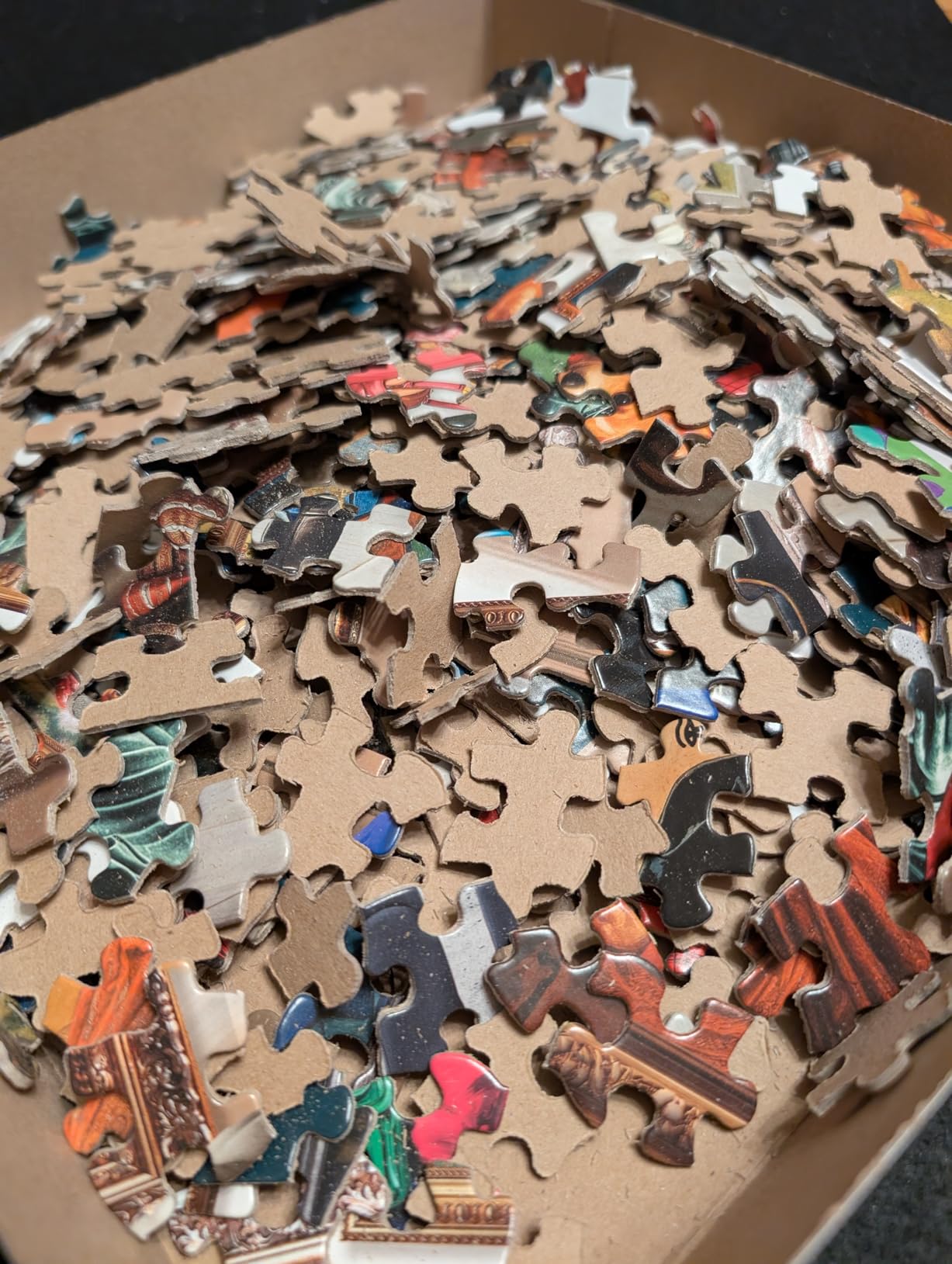 Springbok Paws & Portraits 1000 Piece Jigsaw Puzzle for Adults | Dog puzzle with Unique Cut Pieces, Made in USA, Eco-Friendly Materials, Poster Included for dog lovers and art enthusiasts customer photo 1