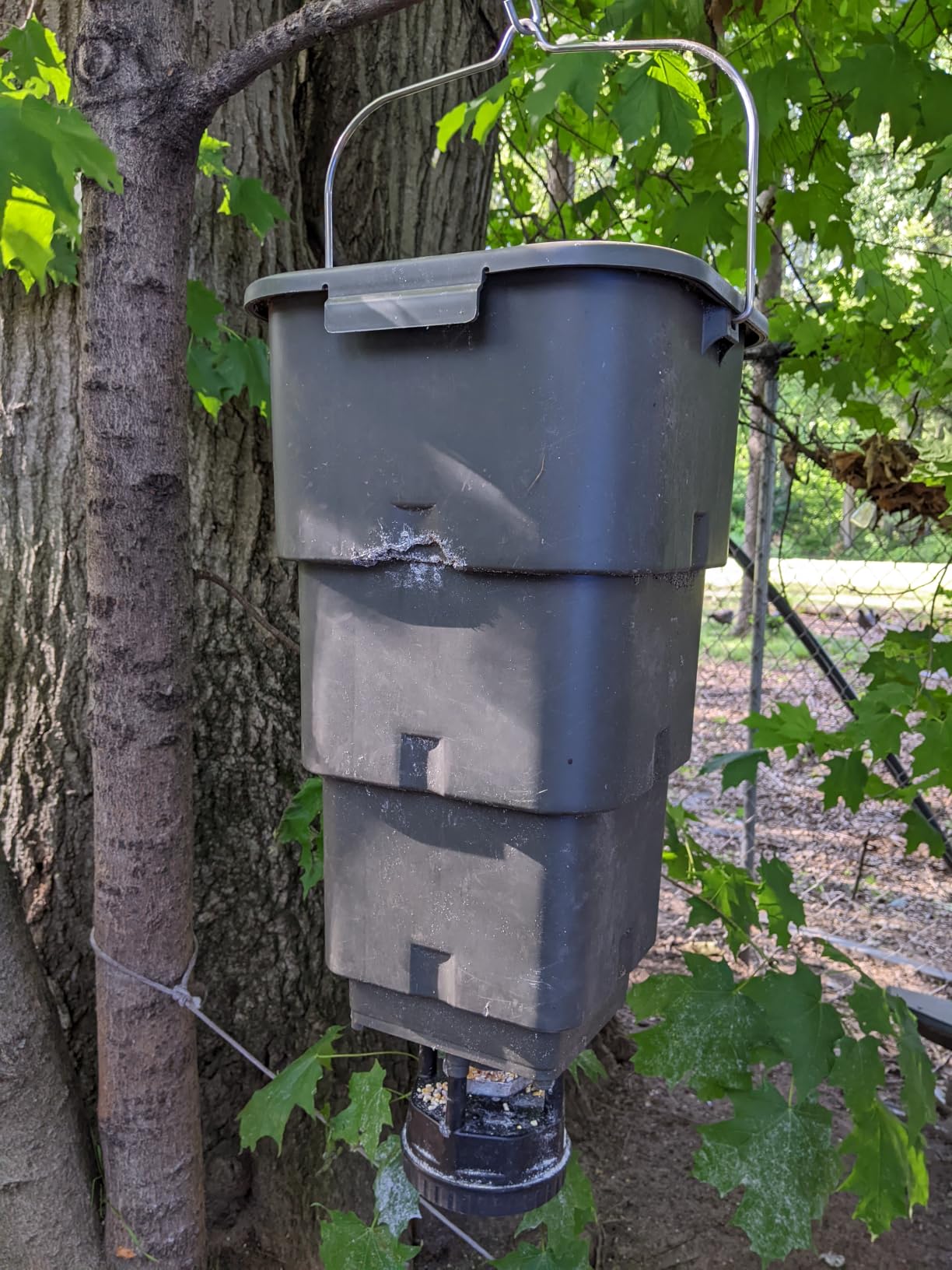 5 Gallon Hanging Deer Feeder with Programmable Digital Timer (4 Feed Times) customer photo 1