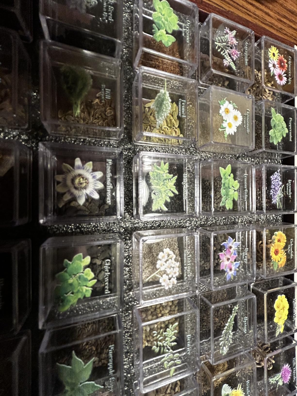 Lush&Dew Ancestral Apothecary Medicinal Tea Herb Seed Chest, Gardening Gift customer photo 1