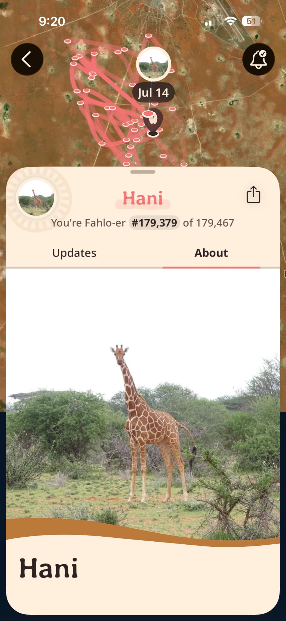 Fahlo Giraffe Tracking Bracelet - Track a Real Giraffe's Journey - Supports Wildlife Conservation - Elastic - on Interactive Mobile App Map - Unisex Conservation Gift customer photo 1