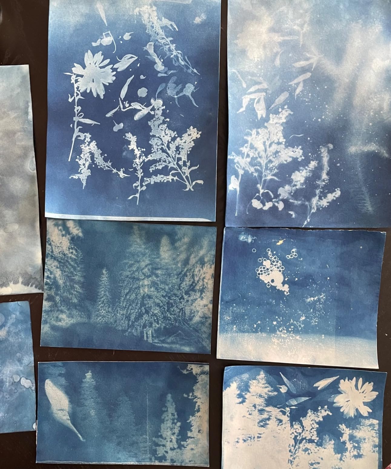 Cyanotype Kit for Fabric & Paper, Easy-Mix Cyanotype Solution with 2 Tools customer photo 1