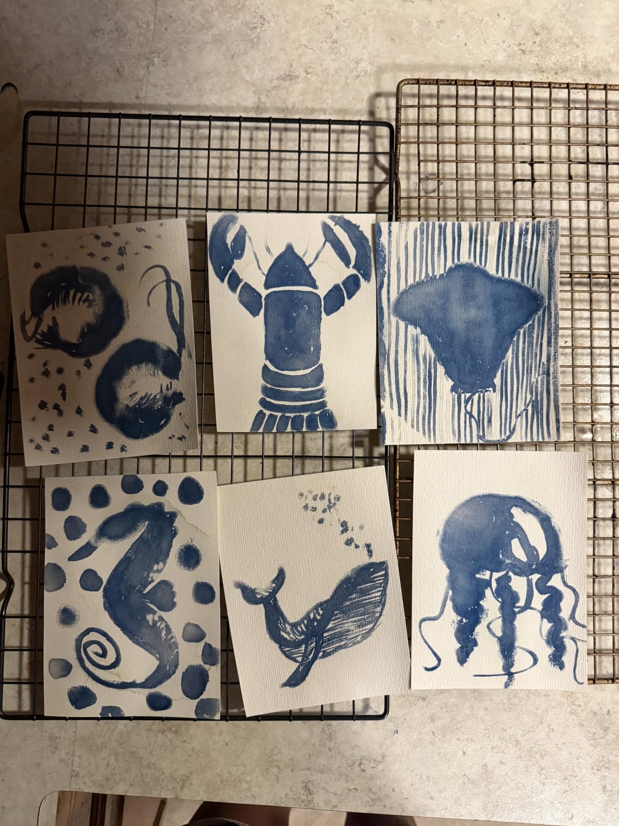 16oz Cyanotype Kit for Fabric & Paper, Easy-Mix Cyanotype Solution, 7 Tools customer photo 1