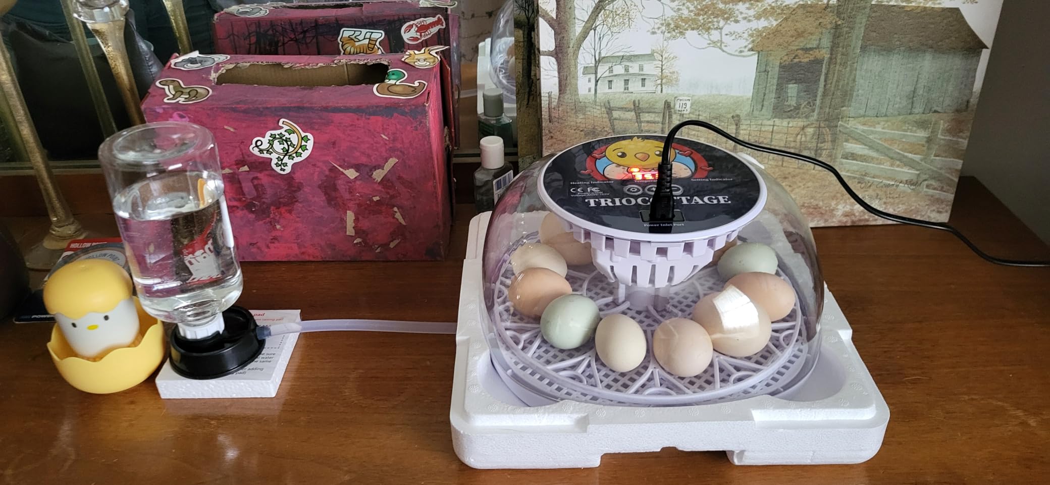 Chick Brooder Heater Plate with Digital Temperature Control, Chicken Coop Heater for Chicks & Ducklings, LED Display, Remote Control, Adjustable Angle, 86°F–167°F Heating Plate customer photo 2